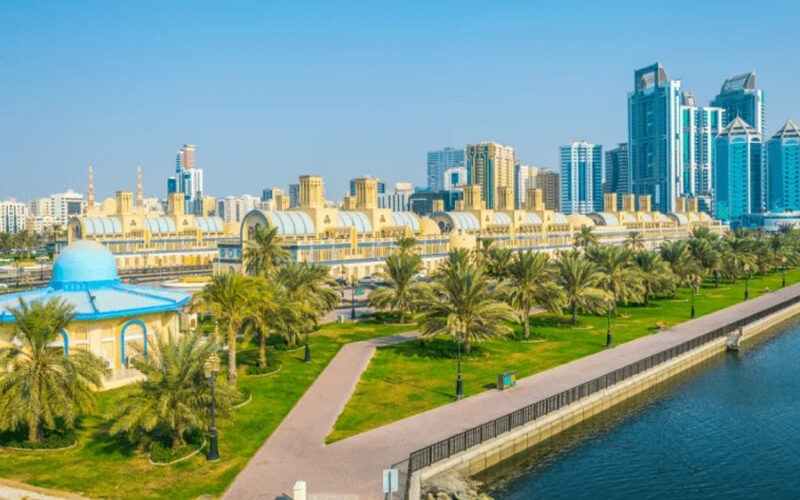A Complete Review of SPC Free Zone Services in the UAE
